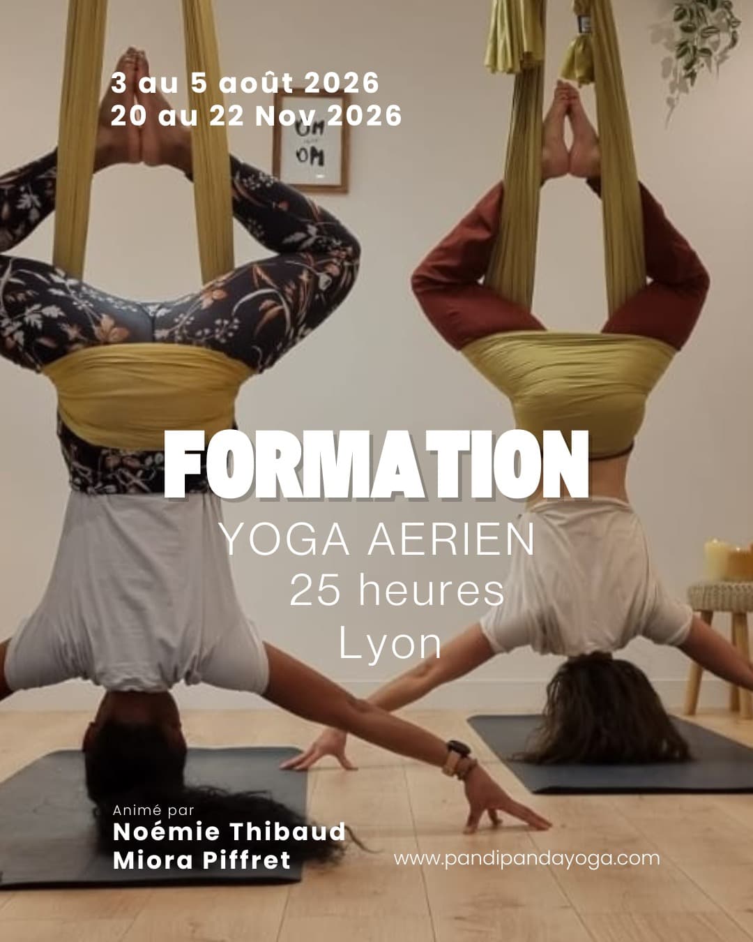 Formation yoga aérien